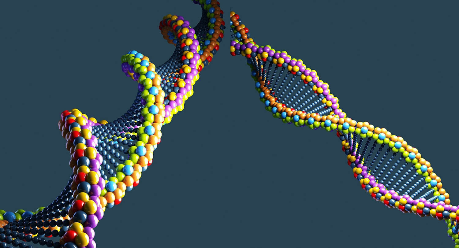 kerntalentenanalyse: de invloed van DNA